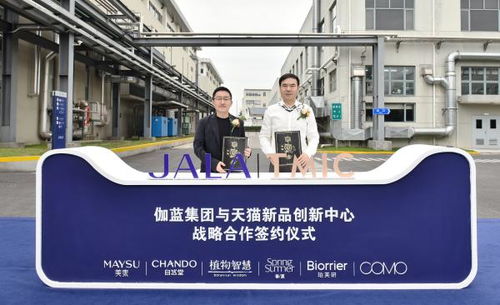 天猫新品创新中心与伽蓝集团共建创新工厂，推动美妆新品高爆发成长及厦门中小企业网站建设